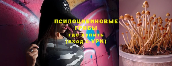 кокс Алексин