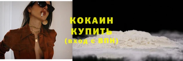 кокс Алексин