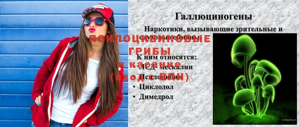 винт Алексеевка