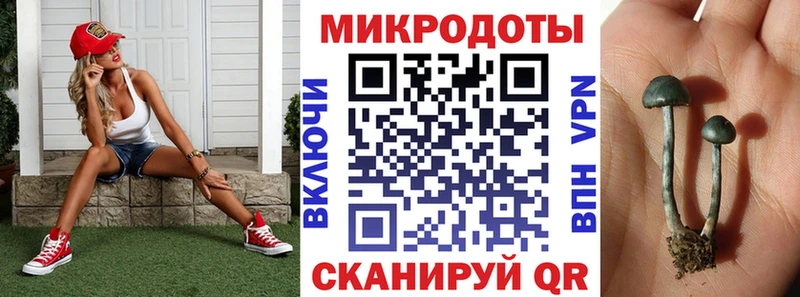 Галлюциногенные грибы Cubensis  купить   Цимлянск 